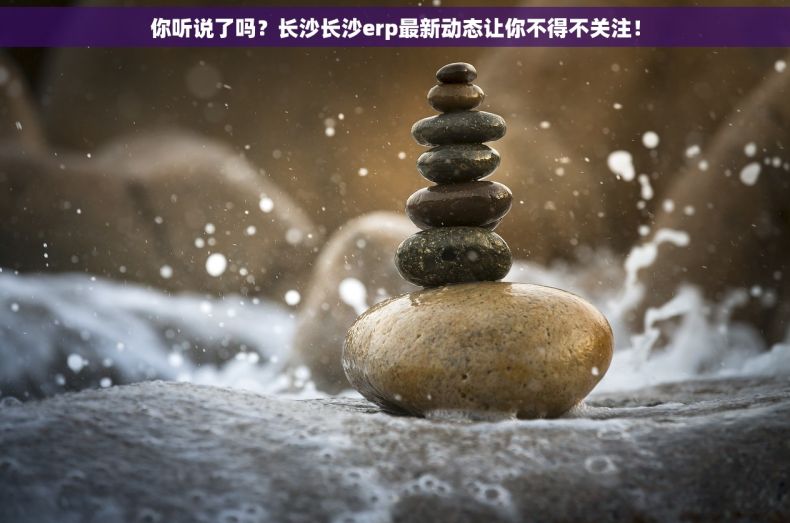 你听说了吗？长沙长沙erp最新动态让你不得不关注！
