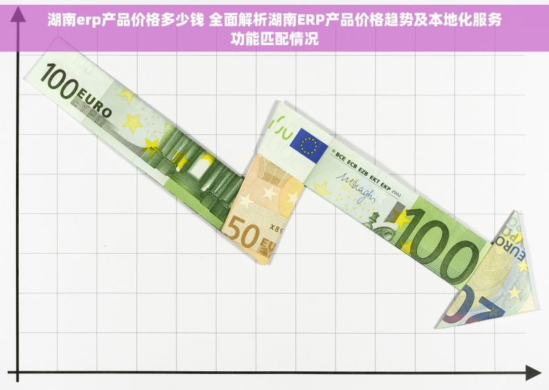 湖南erp产品价格多少钱 全面解析湖南ERP产品价格趋势及本地化服务功能匹配情况