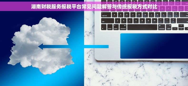 湖南财税服务报税平台常见问题解答与传统报税方式对比