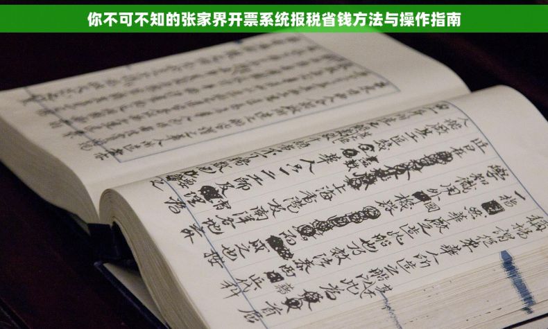 你不可不知的张家界开票系统报税省钱方法与操作指南