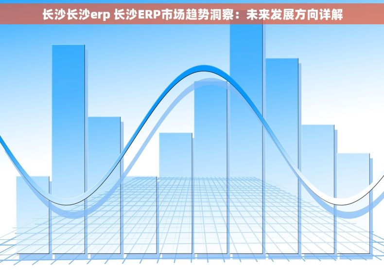 长沙长沙erp 长沙ERP市场趋势洞察：未来发展方向详解