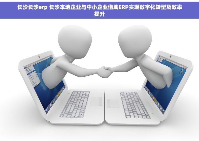 长沙长沙erp 长沙本地企业与中小企业借助ERP实现数字化转型及效率提升