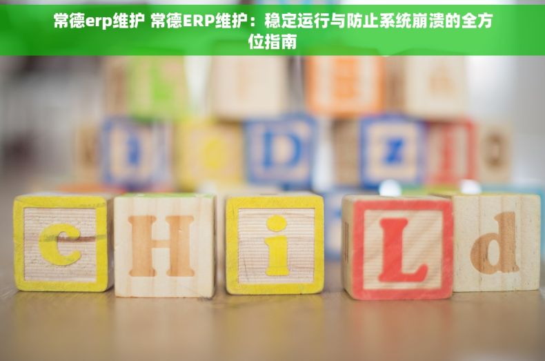 常德erp维护 常德ERP维护：稳定运行与防止系统崩溃的全方位指南