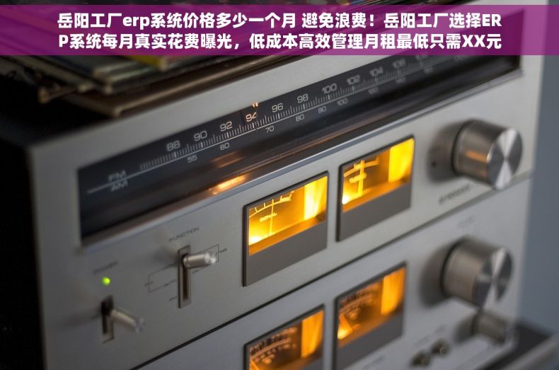 岳阳工厂erp系统价格多少一个月 避免浪费！岳阳工厂选择ERP系统每月真实花费曝光，低成本高效管理月租最低只需XX元
