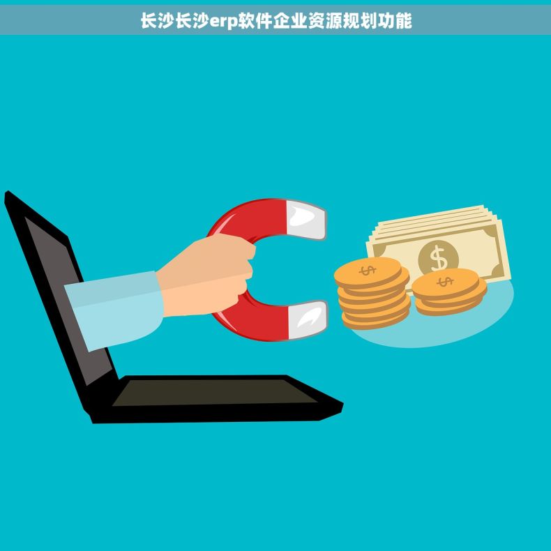 长沙长沙erp软件企业资源规划功能