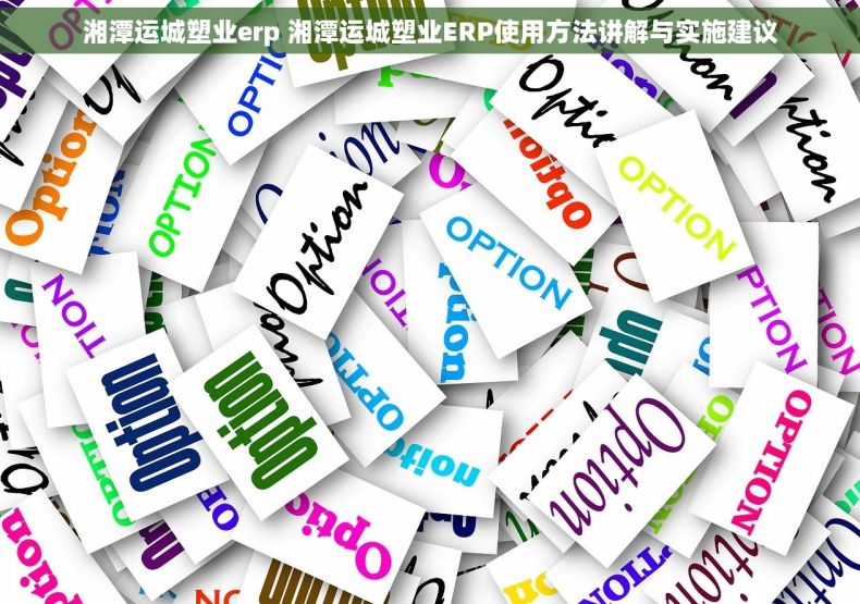 湘潭运城塑业erp 湘潭运城塑业ERP使用方法讲解与实施建议