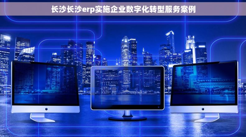 长沙长沙erp实施企业数字化转型服务案例