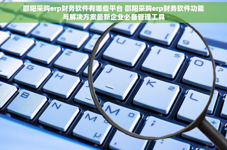 邵阳采购erp财务软件有哪些平台 邵阳采购erp财务软件功能与解决方案最新企业必备管理工具