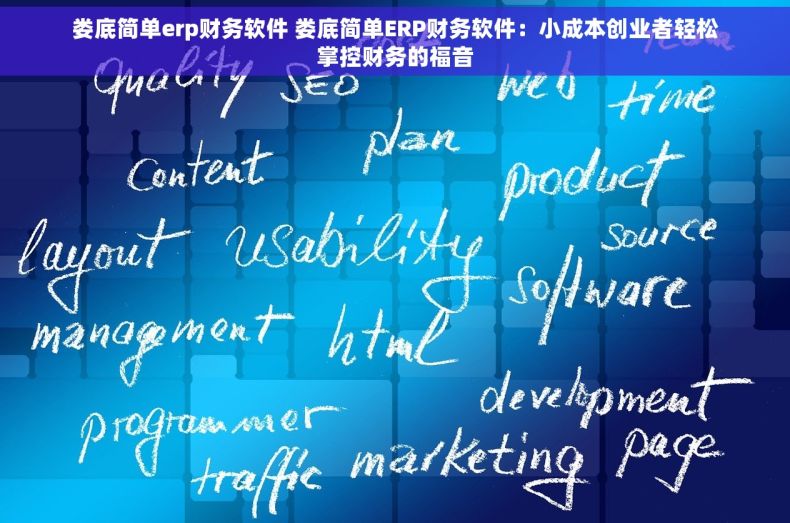 娄底简单erp财务软件 娄底简单ERP财务软件：小成本创业者轻松掌控财务的福音