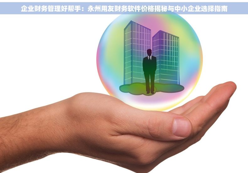 企业财务管理好帮手：永州用友财务软件价格揭秘与中小企业选择指南