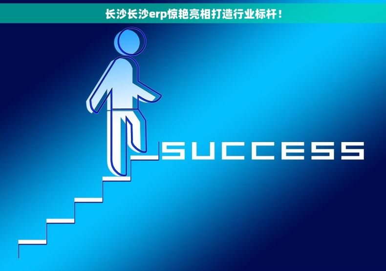长沙长沙erp惊艳亮相打造行业标杆！