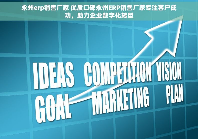 永州erp销售厂家 优质口碑永州ERP销售厂家专注客户成功，助力企业数字化转型