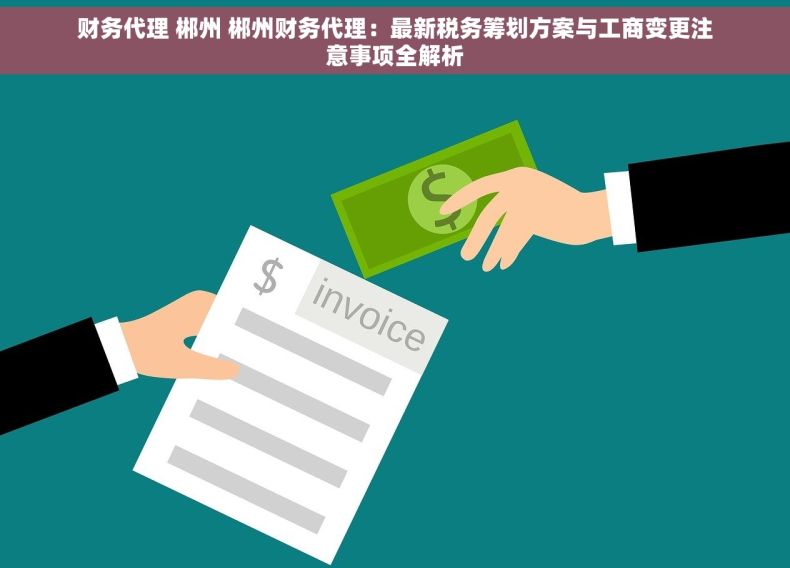 财务代理 郴州 郴州财务代理：最新税务筹划方案与工商变更注意事项全解析