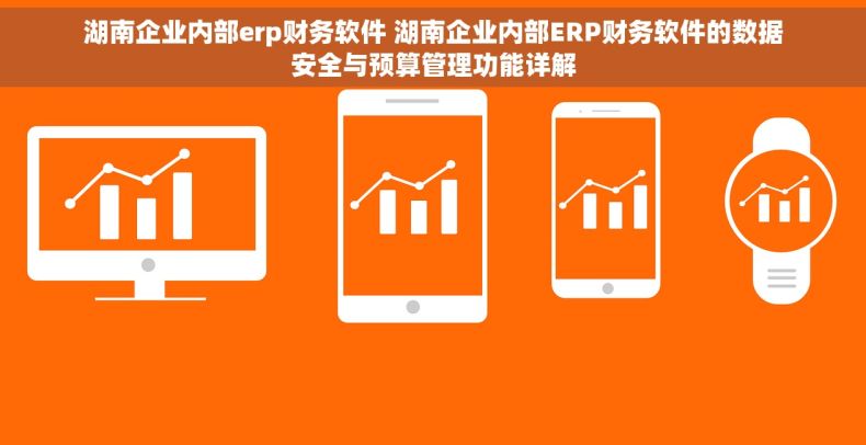 湖南企业内部erp财务软件 湖南企业内部ERP财务软件的数据安全与预算管理功能详解