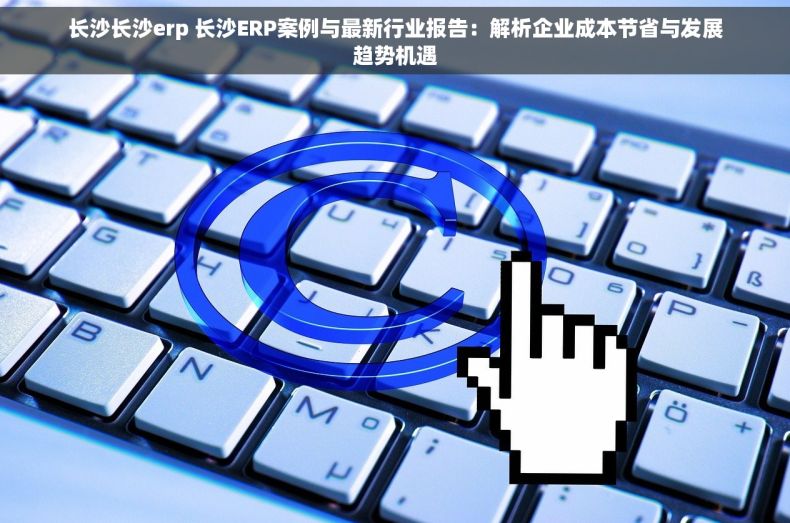 长沙长沙erp 长沙ERP案例与最新行业报告：解析企业成本节省与发展趋势机遇