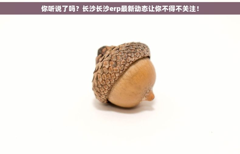 你听说了吗？长沙长沙erp最新动态让你不得不关注！