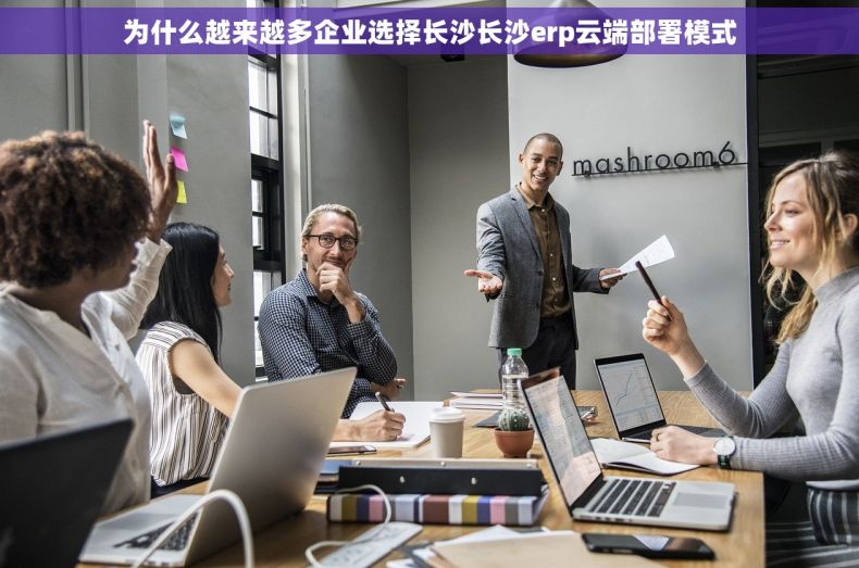 为什么越来越多企业选择长沙长沙erp云端部署模式