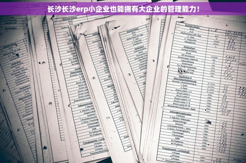 长沙长沙erp小企业也能拥有大企业的管理能力！