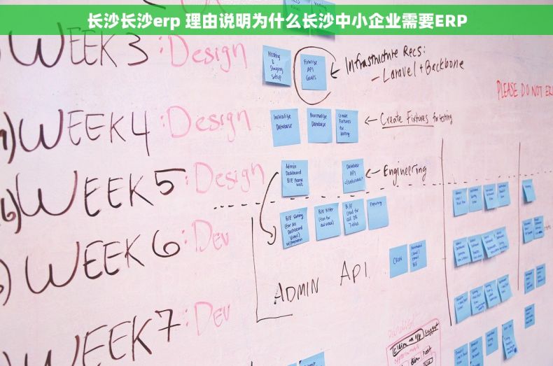 长沙长沙erp 理由说明为什么长沙中小企业需要ERP