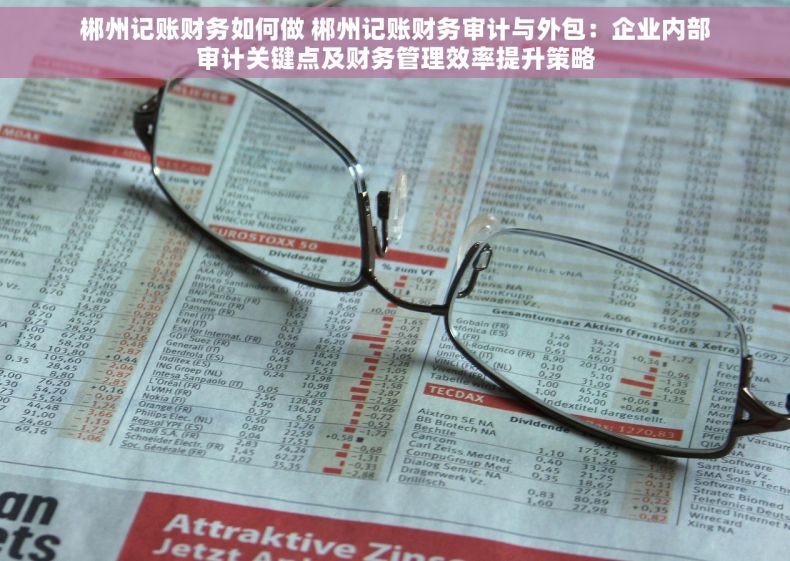 郴州记账财务如何做 郴州记账财务审计与外包：企业内部审计关键点及财务管理效率提升策略
