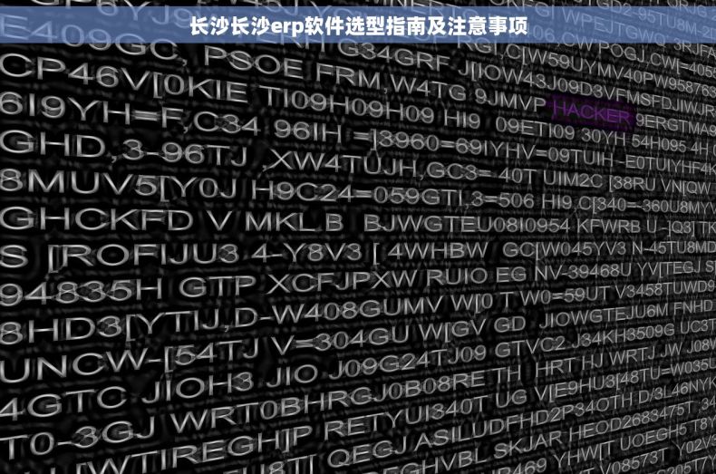 长沙长沙erp软件选型指南及注意事项