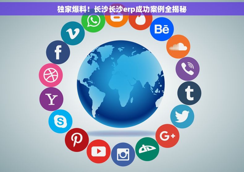 独家爆料！长沙长沙erp成功案例全揭秘