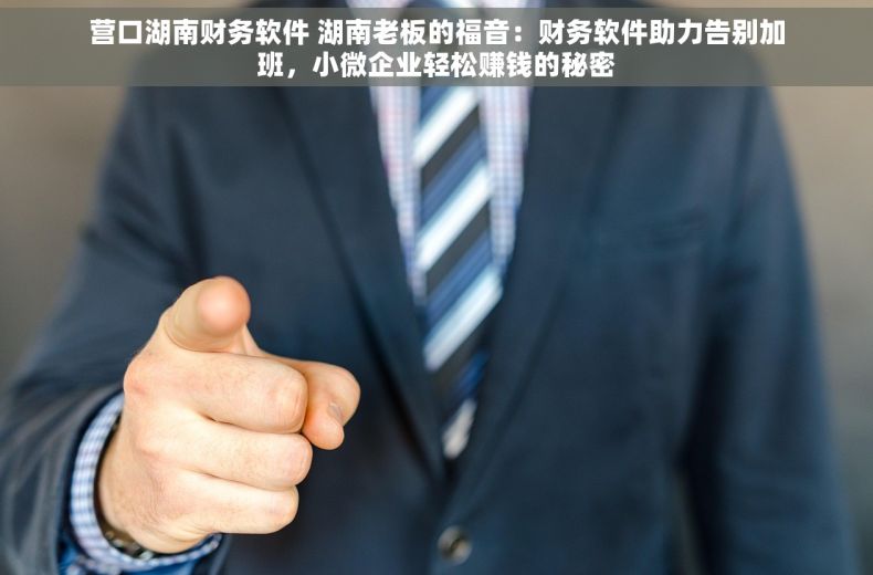 营口湖南财务软件 湖南老板的福音：财务软件助力告别加班，小微企业轻松赚钱的秘密
