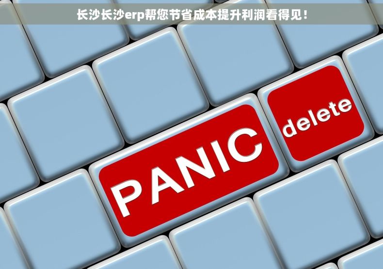 长沙长沙erp帮您节省成本提升利润看得见！