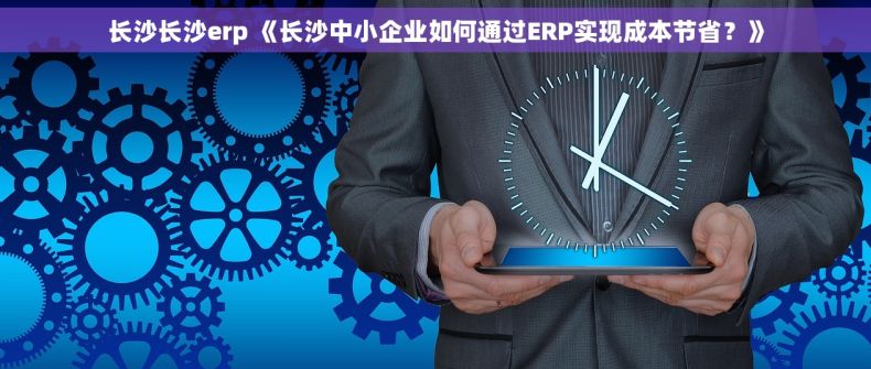 长沙长沙erp 《长沙中小企业如何通过ERP实现成本节省？》