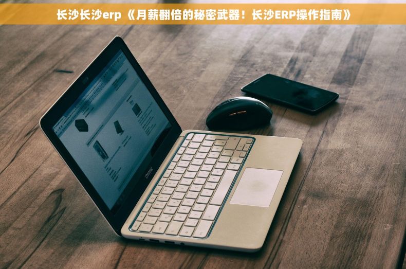 长沙长沙erp 《月薪翻倍的秘密武器！长沙ERP操作指南》
