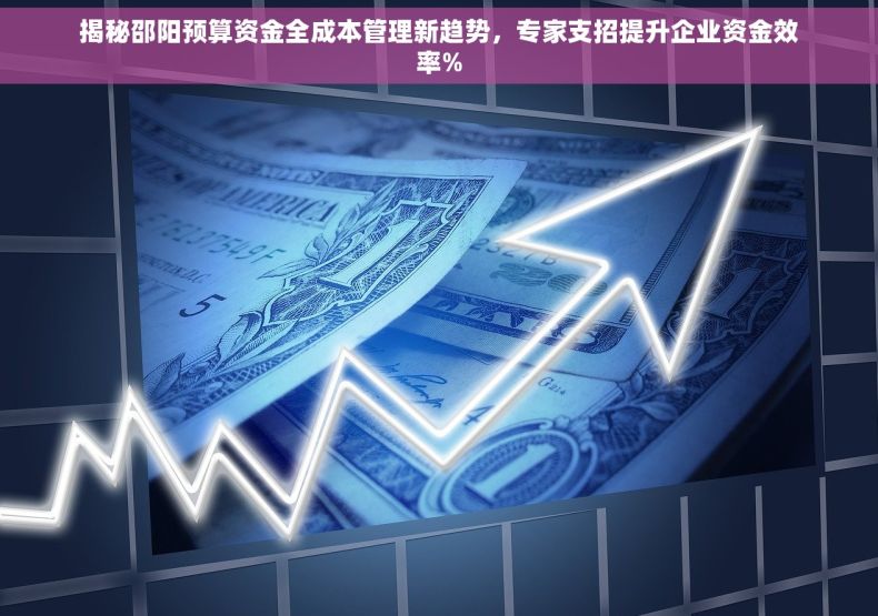 揭秘邵阳预算资金全成本管理新趋势，专家支招提升企业资金效率%