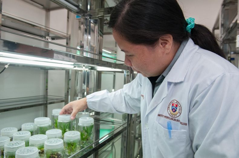 湖南彩印厂erp服务好做吗现在 湖南彩印厂老板必看：ERP服务解决账单烦恼与管理难题