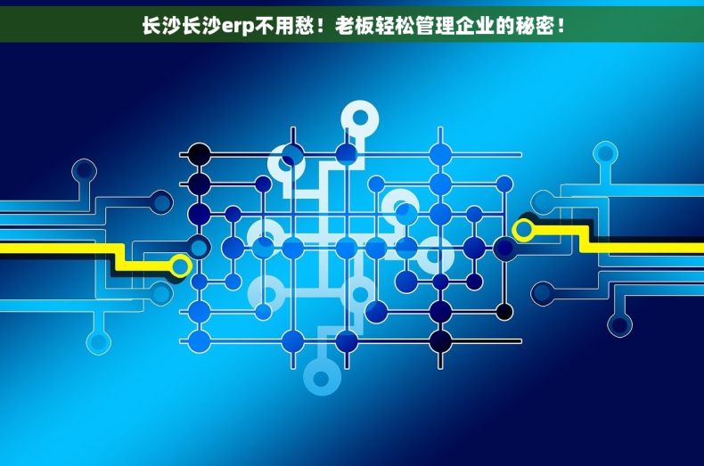 长沙长沙erp不用愁！老板轻松管理企业的秘密！