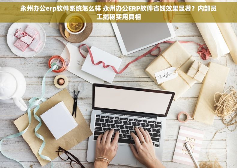 永州办公erp软件系统怎么样 永州办公ERP软件省钱效果显著？内部员工揭秘实用真相