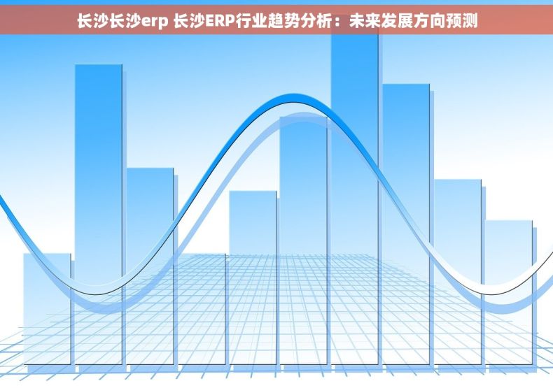 长沙长沙erp 长沙ERP行业趋势分析：未来发展方向预测