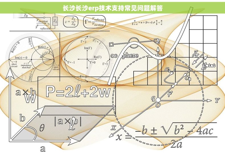 长沙长沙erp技术支持常见问题解答