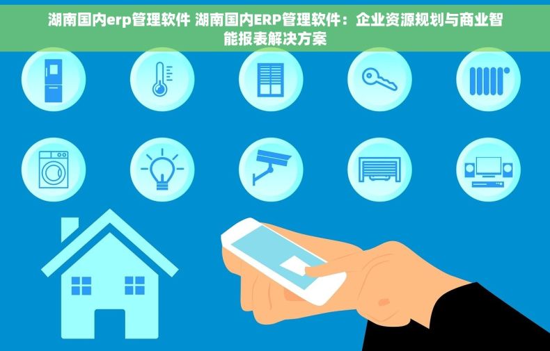 湖南国内erp管理软件 湖南国内ERP管理软件：企业资源规划与商业智能报表解决方案