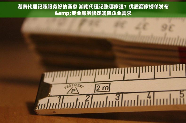 湖南代理记账服务好的商家 湖南代理记账哪家强？优质商家榜单发布&专业服务快速响应企业需求