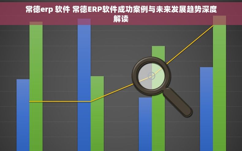 常德erp 软件 常德ERP软件成功案例与未来发展趋势深度解读