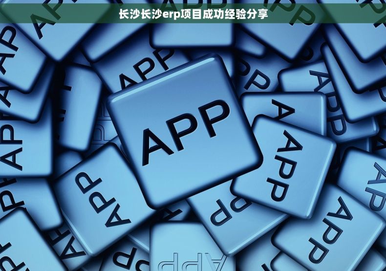 长沙长沙erp项目成功经验分享