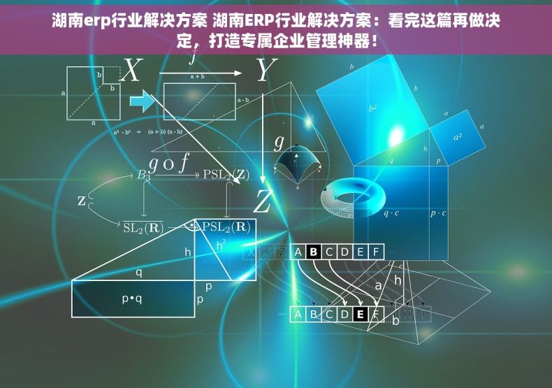 湖南erp行业解决方案 湖南ERP行业解决方案：看完这篇再做决定，打造专属企业管理神器！