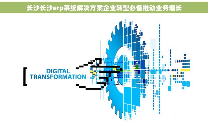 长沙长沙erp系统解决方案企业转型必备推动业务增长