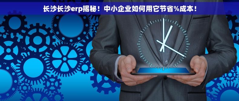 长沙长沙erp揭秘！中小企业如何用它节省%成本！