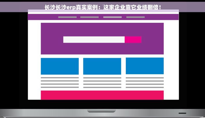 长沙长沙erp真实案例：这家企业靠它业绩翻倍！