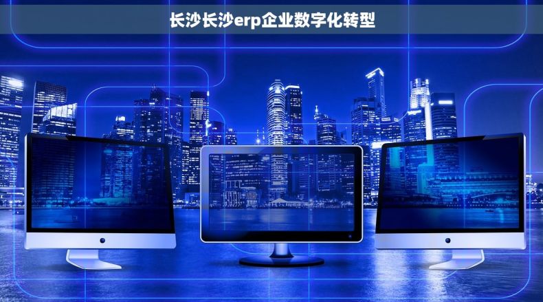 长沙长沙erp企业数字化转型