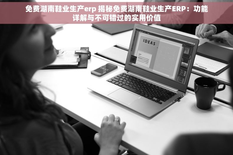 免费湖南鞋业生产erp 揭秘免费湖南鞋业生产ERP：功能详解与不可错过的实用价值