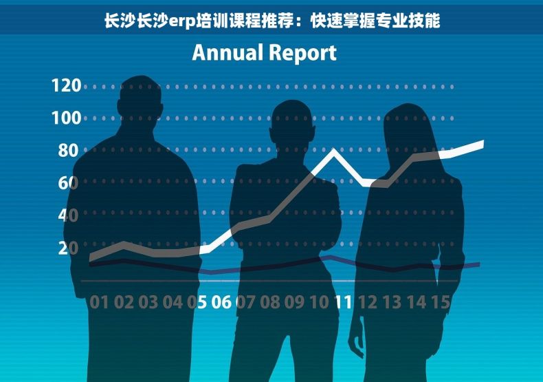 长沙长沙erp培训课程推荐：快速掌握专业技能