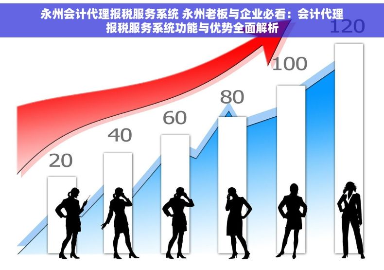 永州会计代理报税服务系统 永州老板与企业必看：会计代理报税服务系统功能与优势全面解析