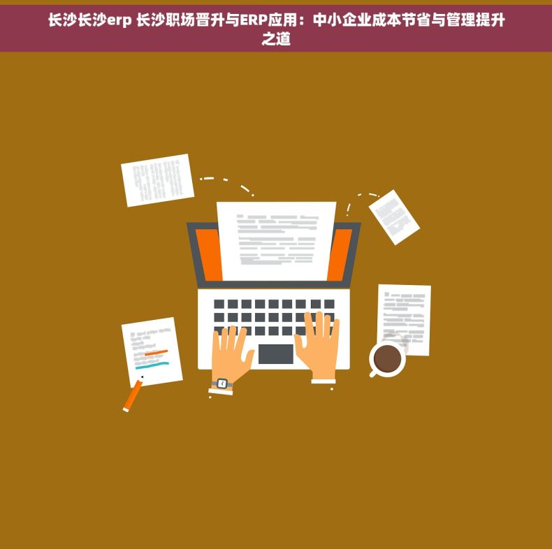 长沙长沙erp 长沙职场晋升与ERP应用：中小企业成本节省与管理提升之道