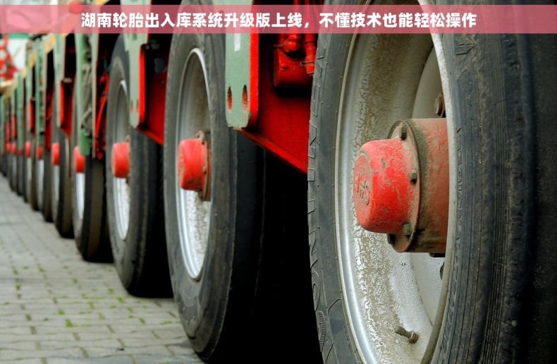 湖南轮胎出入库系统升级版上线，不懂技术也能轻松操作